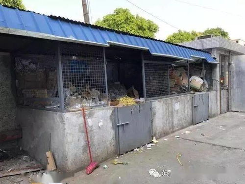 廢品站再做這類(lèi)回收，就要攤上大事了！環(huán)境局提醒 一般工業(yè)固廢未按要求存放，最低罰款10萬(wàn)元，嚴(yán)重的還要拘留